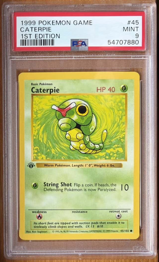 Caterpie