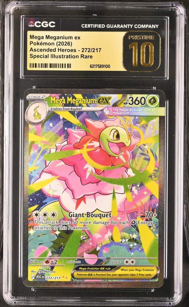 MEGA MEGANIUM ex