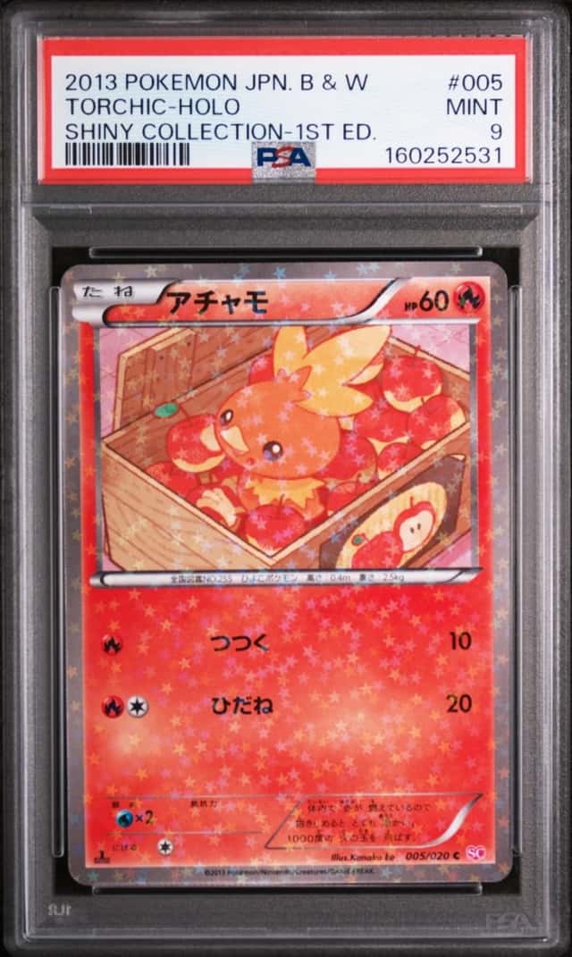 Torchic