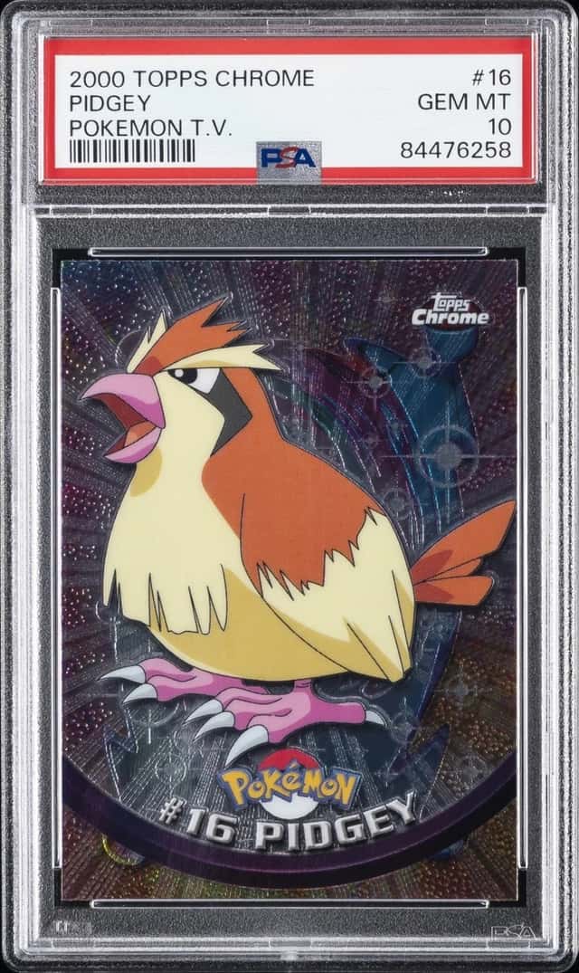 Pidgey