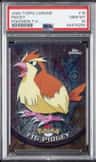 Pidgey