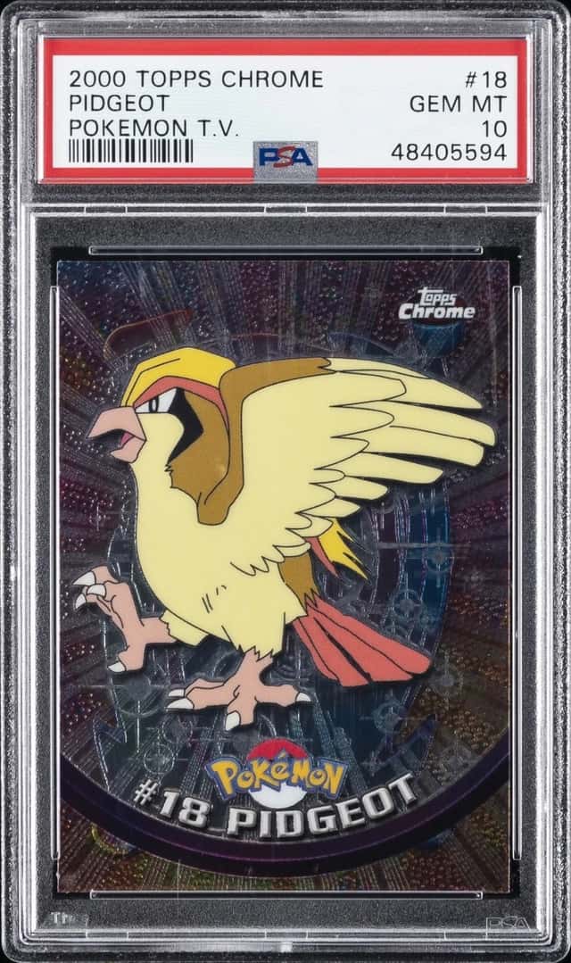 Pidgeot