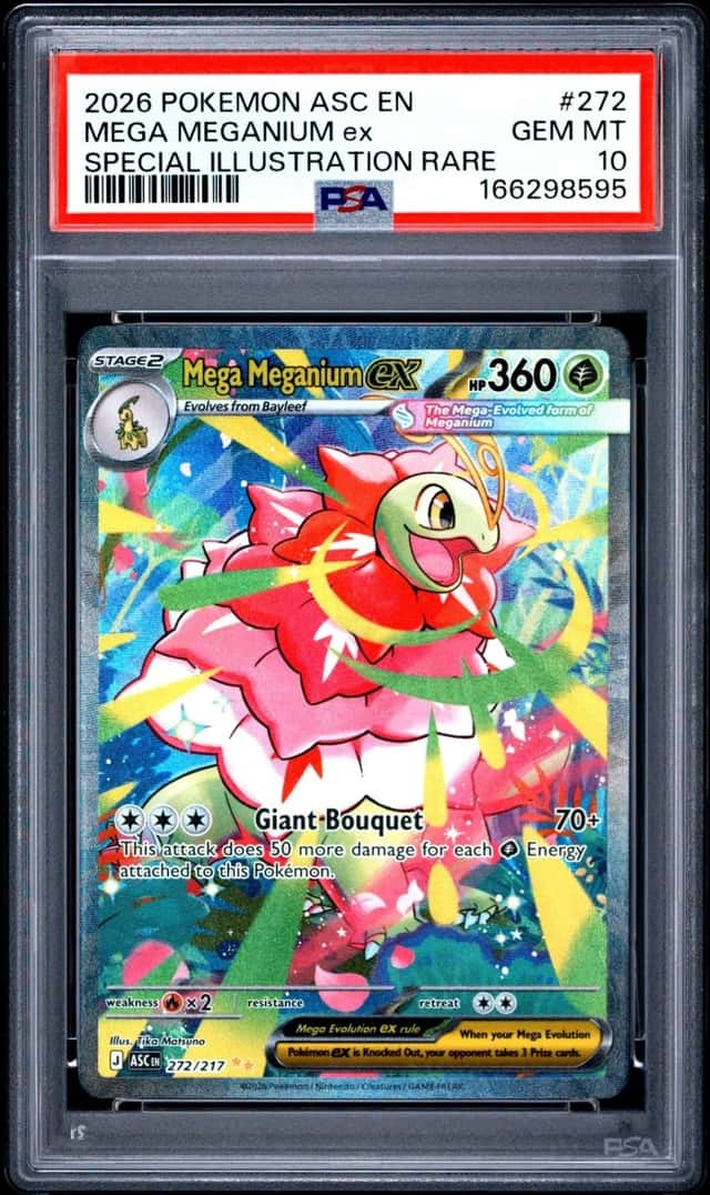 MEGA MEGANIUM ex
