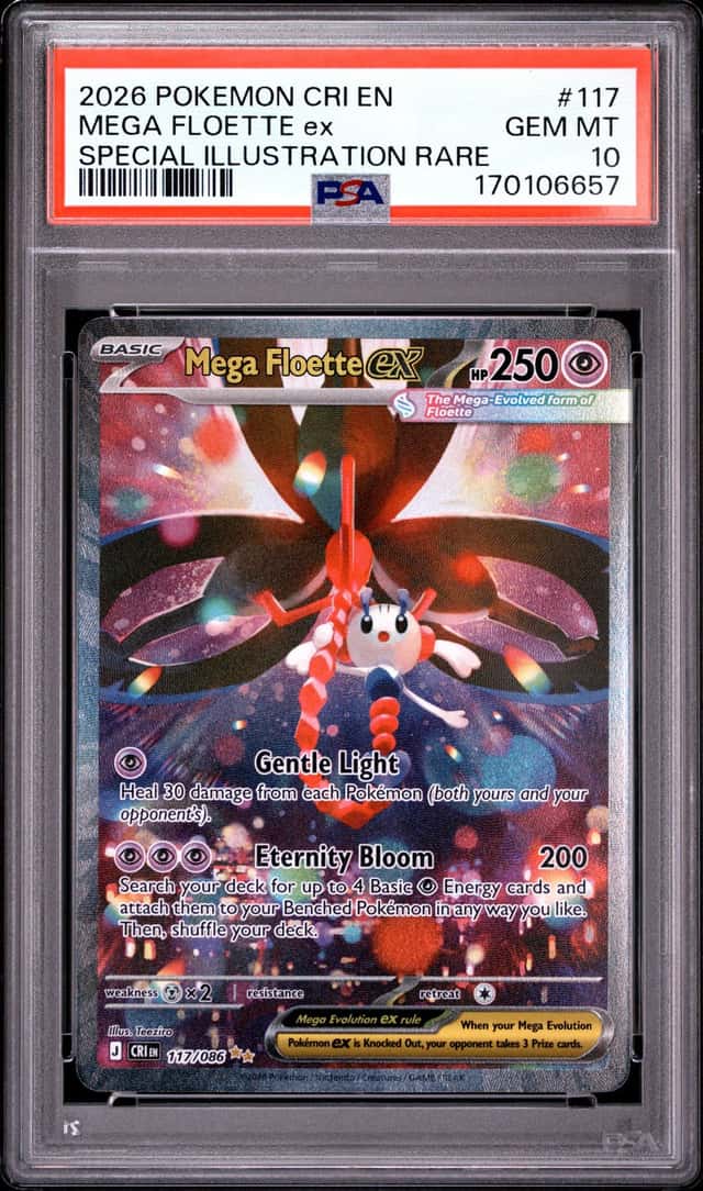 MEGA FLOETTE ex