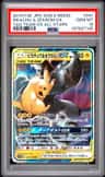 Pikachu & Zekrom Gx