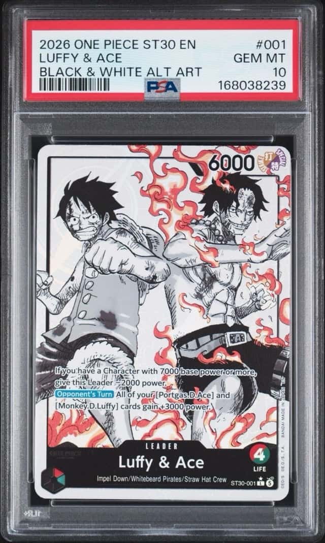 Luffy & Ace