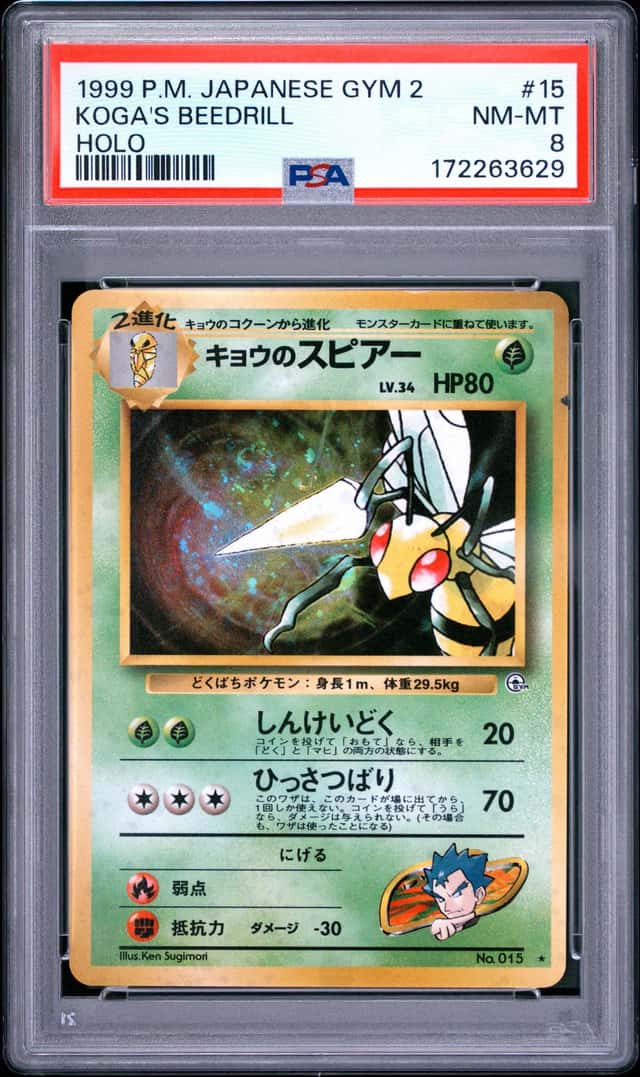 Koga's Beedrill
