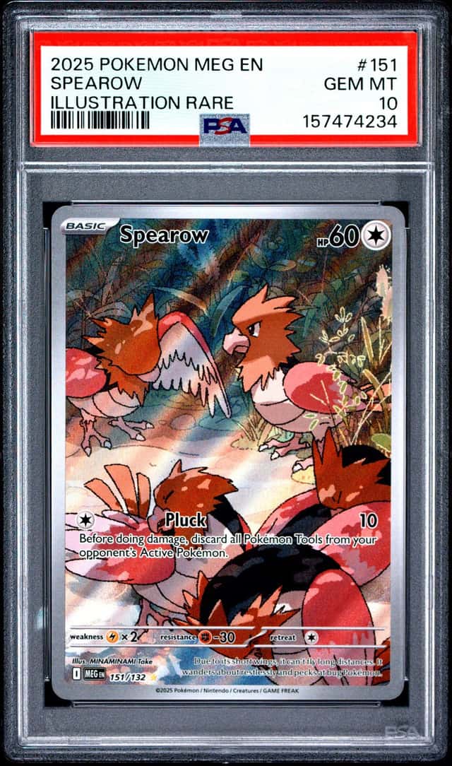 Spearow