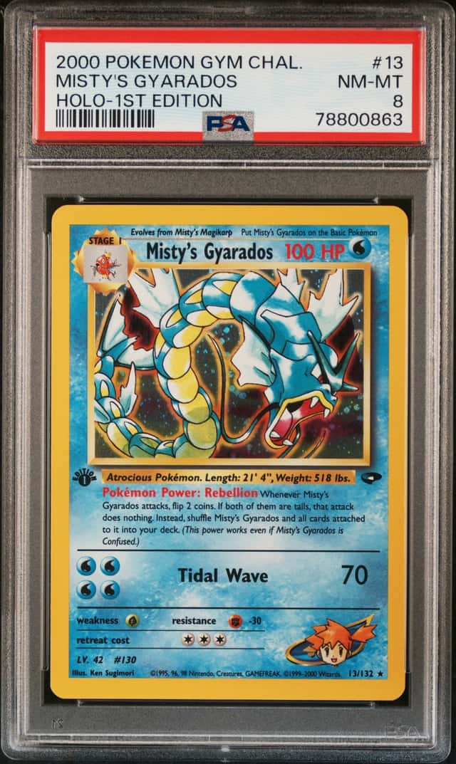 Misty's Gyarados