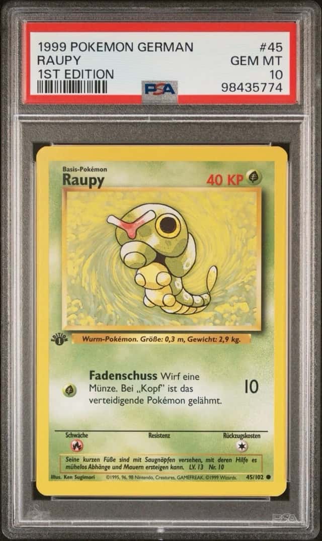 Raupy