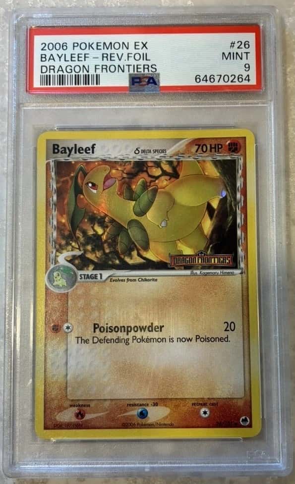 Bayleaf Δ