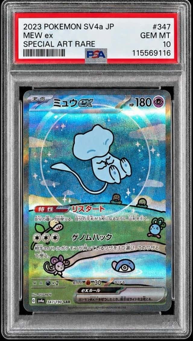 MEW ex