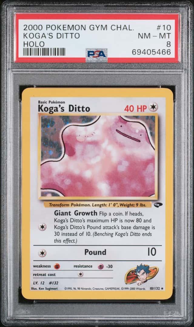 Koga's Ditto