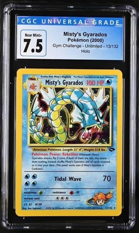 Misty's Gyarados