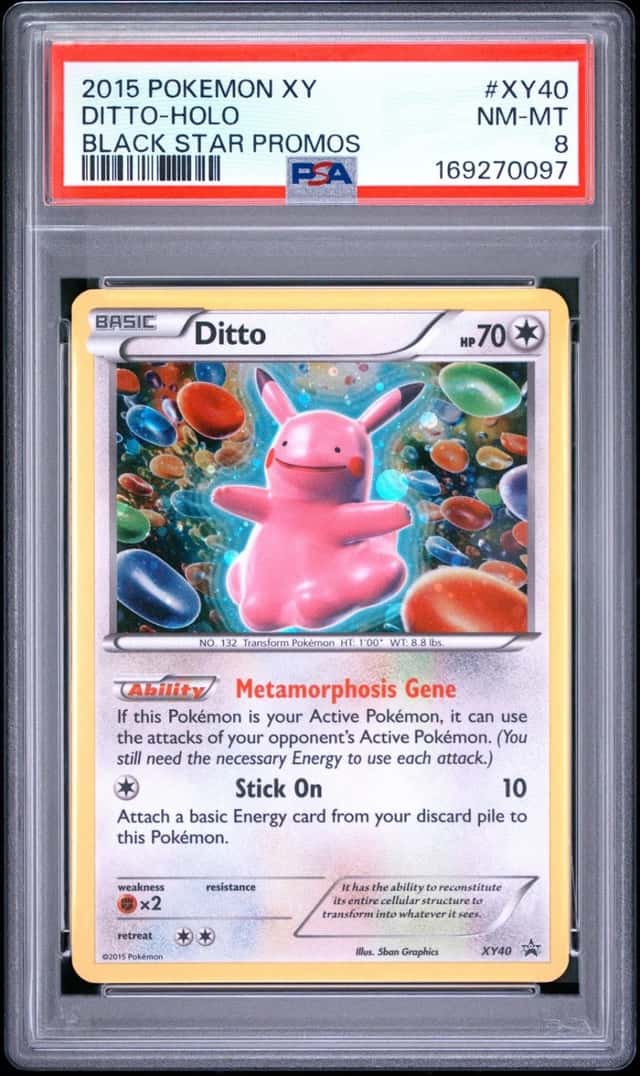 Ditto