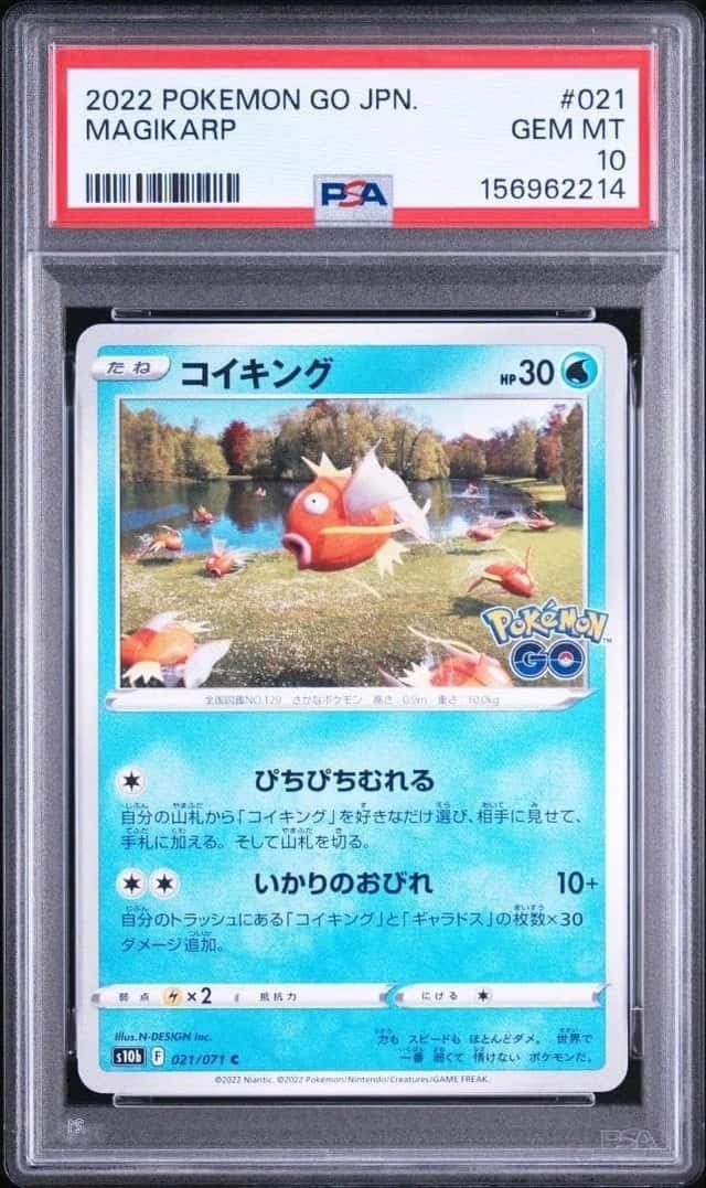 Magikarp