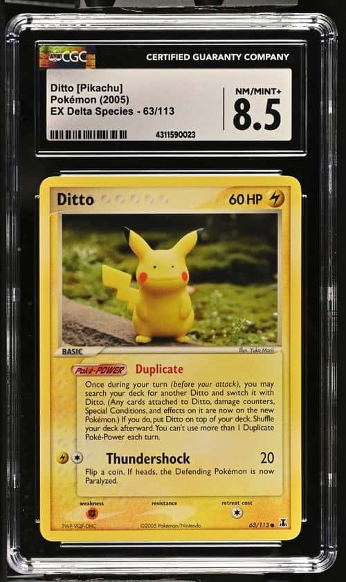 Ditto [Pikachu]