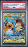 Raichu & Alolan Raichu Gx