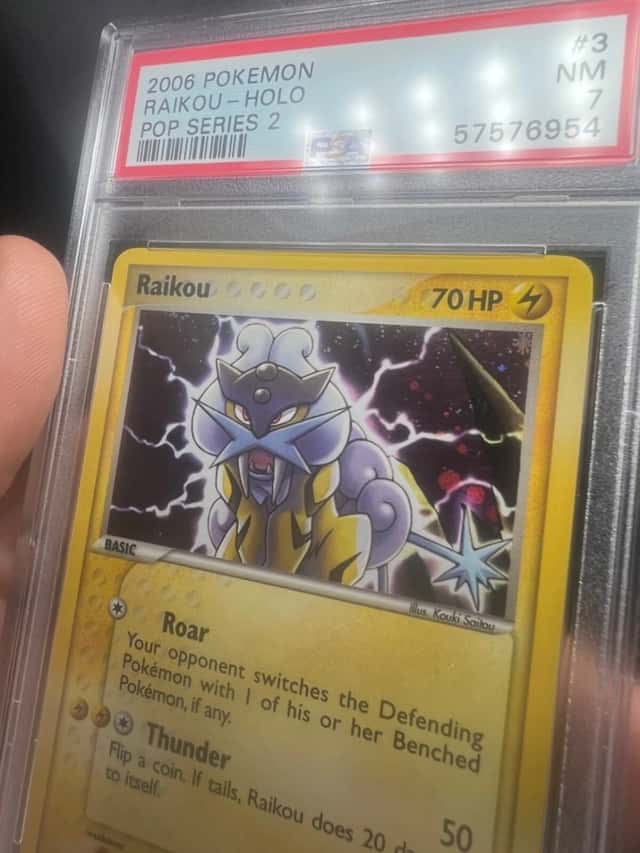 Raikou