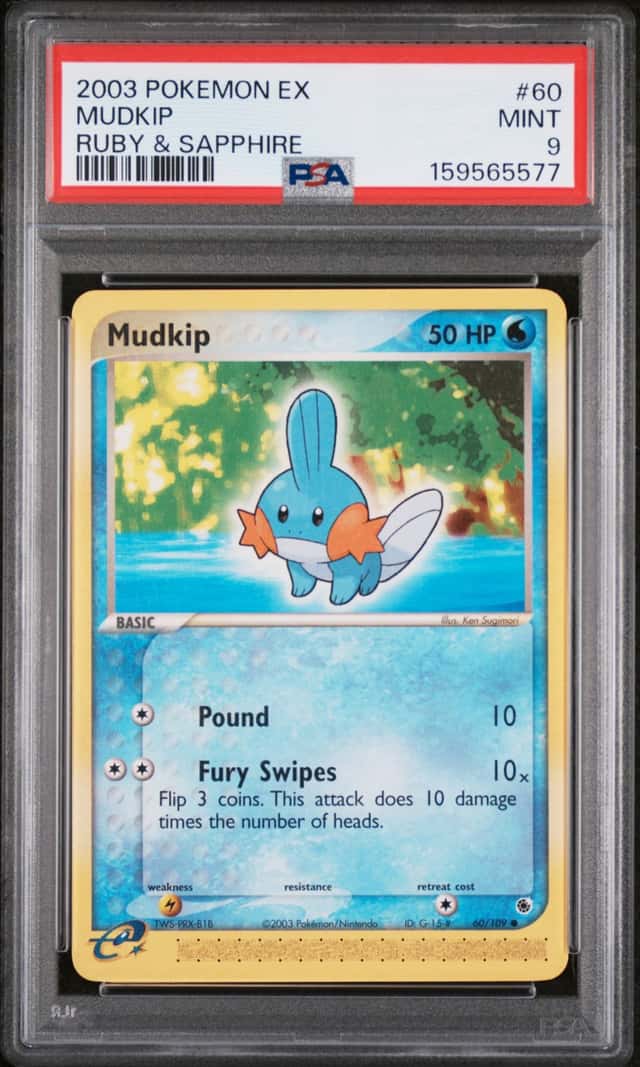 Mudkip
