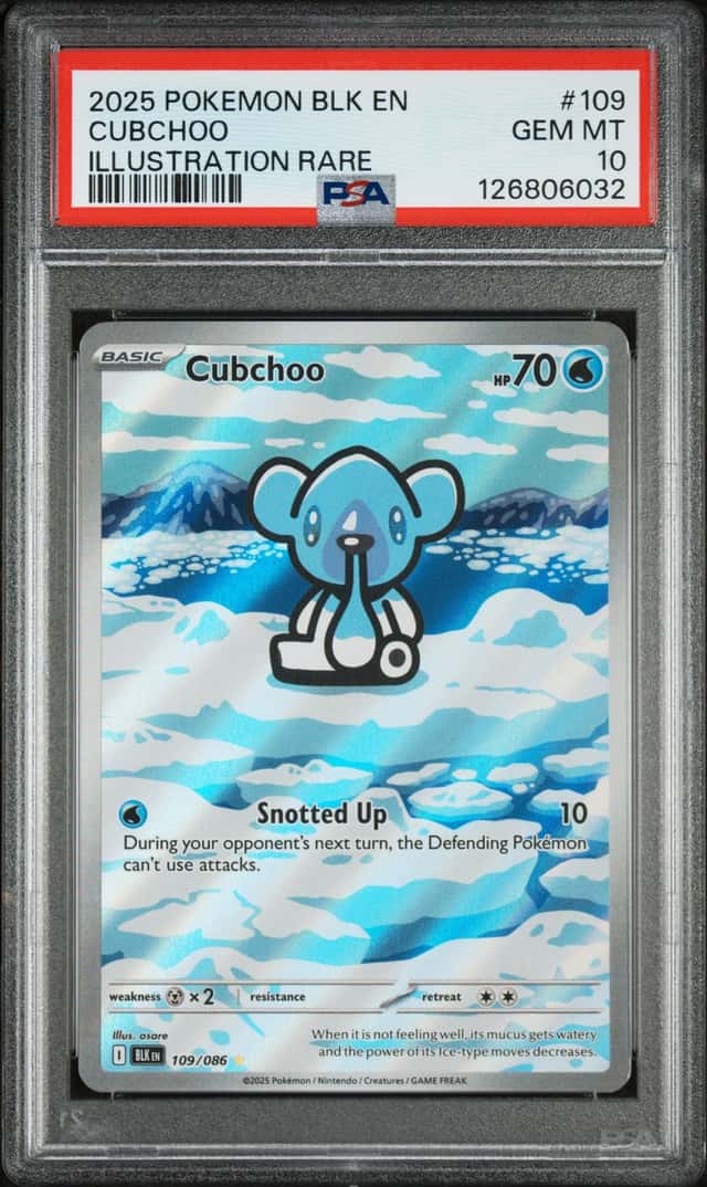 Cubchoo