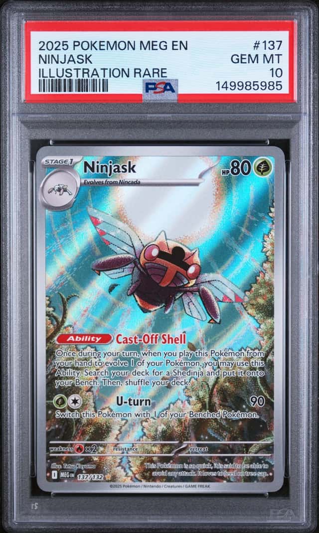 Ninjask