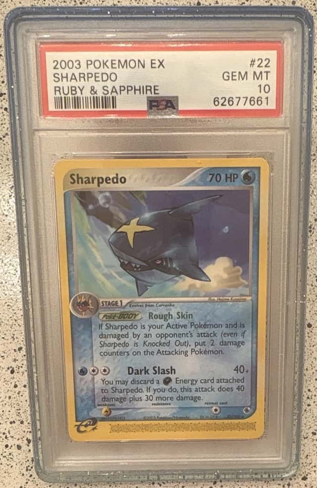 Sharpedo