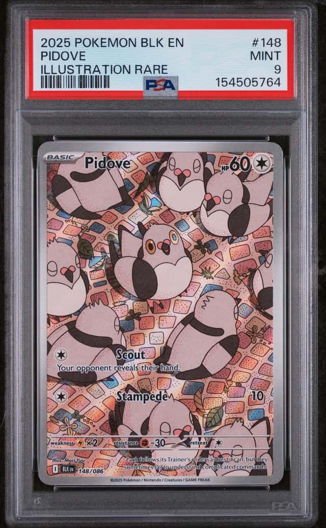 Pidove