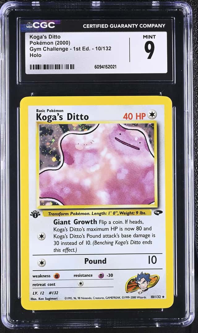 Koga's Ditto