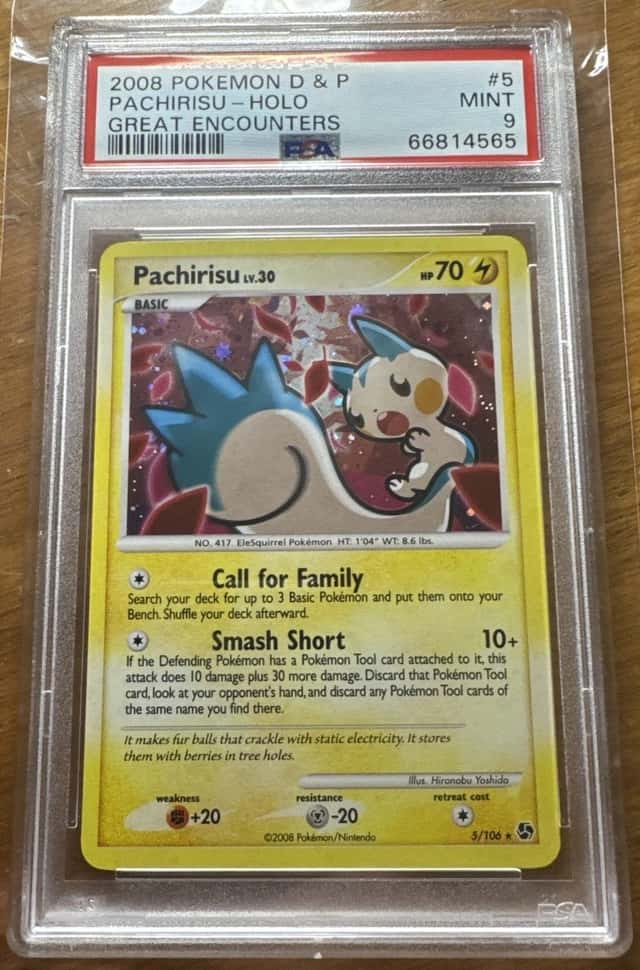 Pachirisu