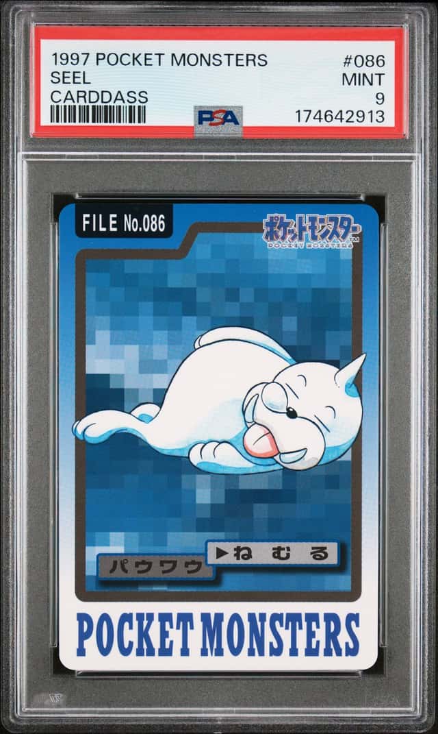Seel