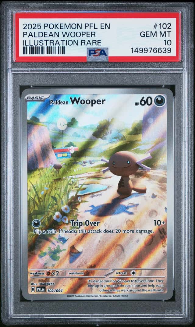 Paldean Wooper