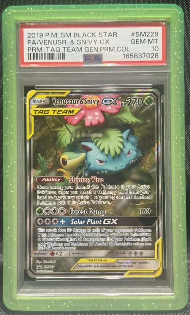 Venusaur & Snivy GX
