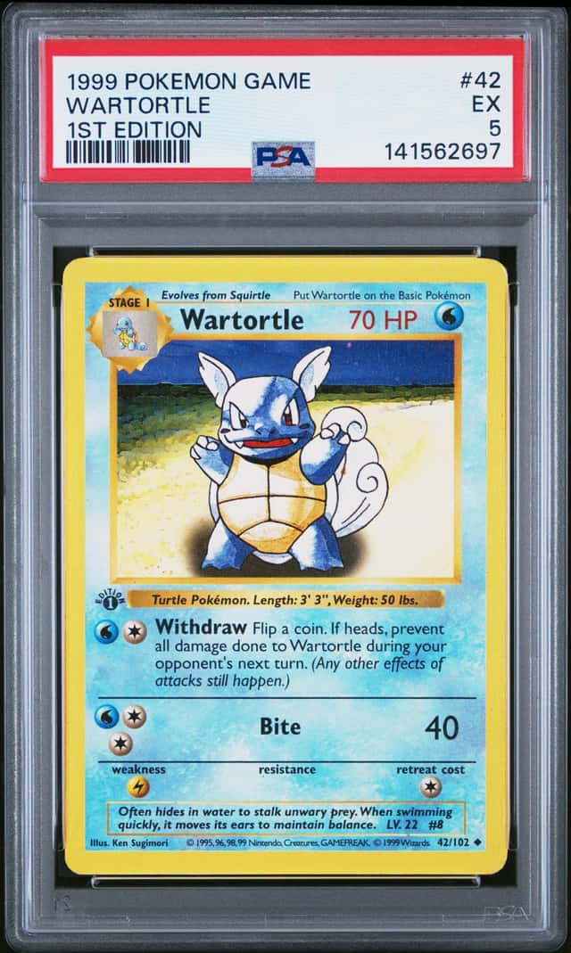 Wartortle