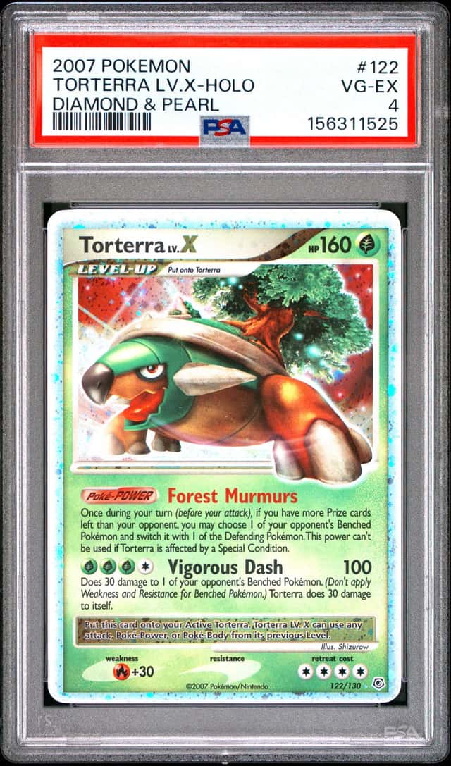 TORTERRA LV.X