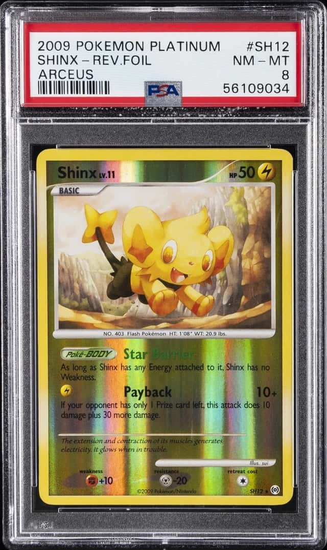 Shinx
