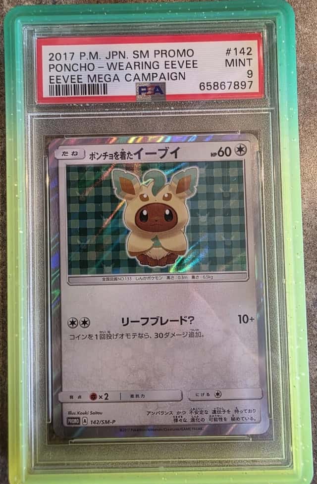 Poncho-Wearing Eevee