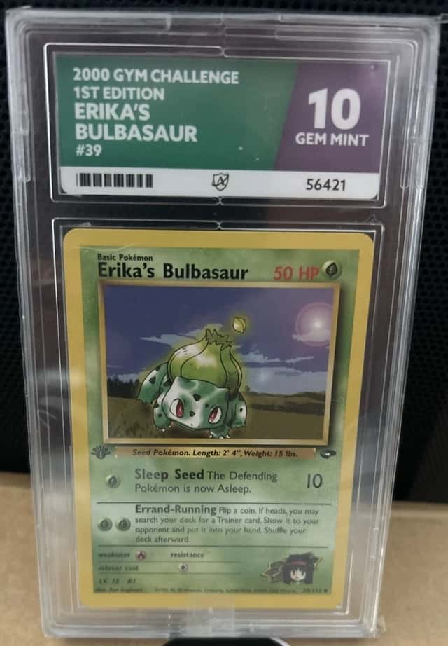 Erika's Bulbasaur