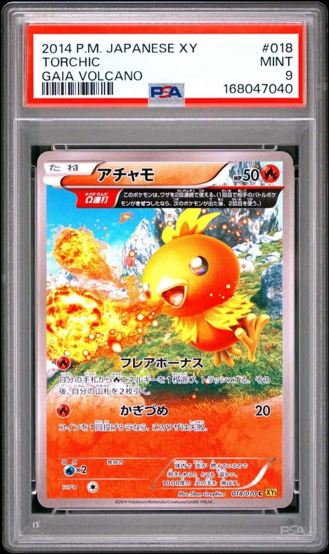 Torchic