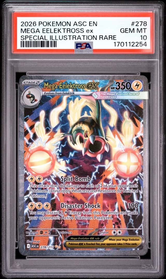 MEGA EELEKTROSS ex