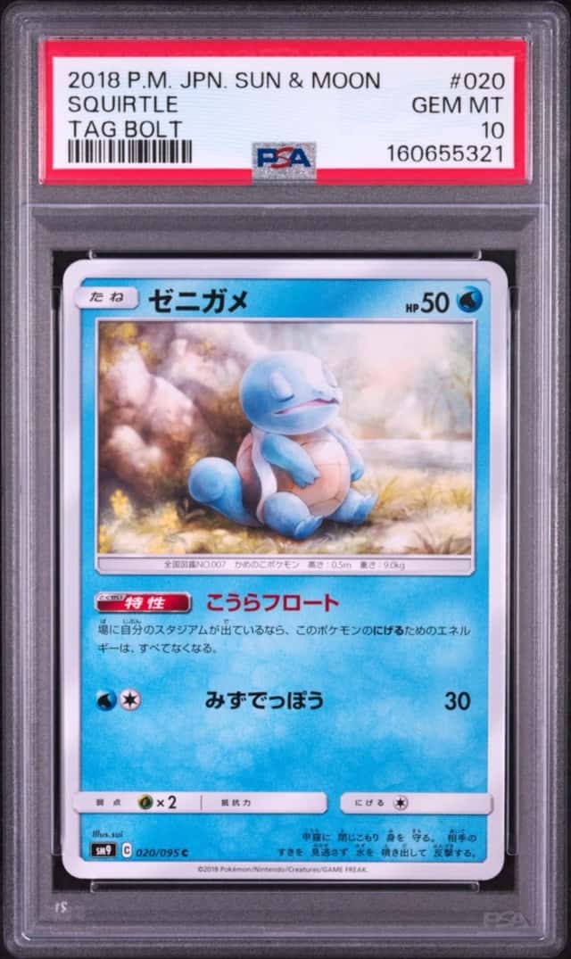 Squirtle