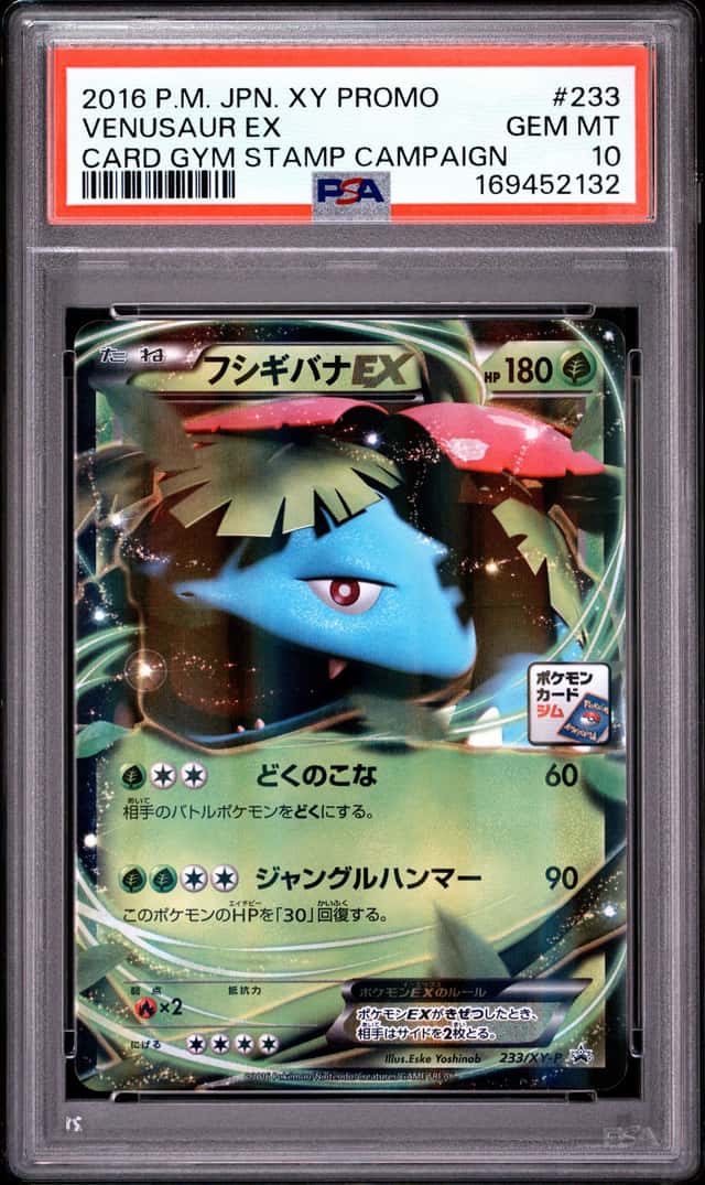 Venusaur EX
