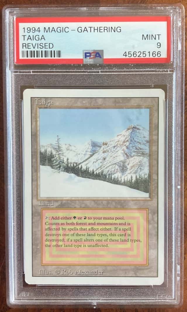 Taiga