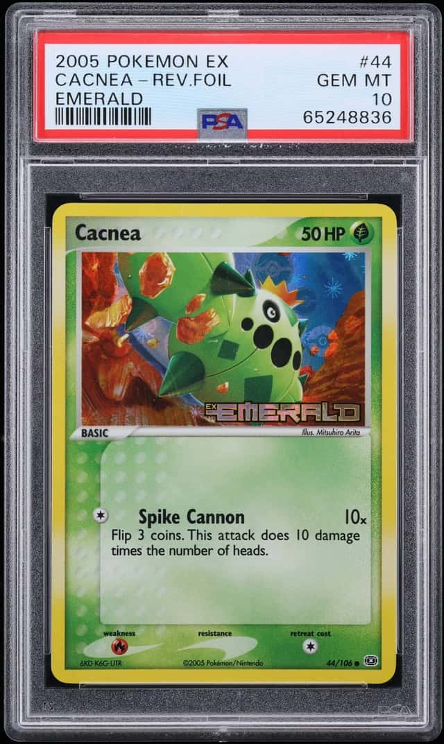 Cacnea