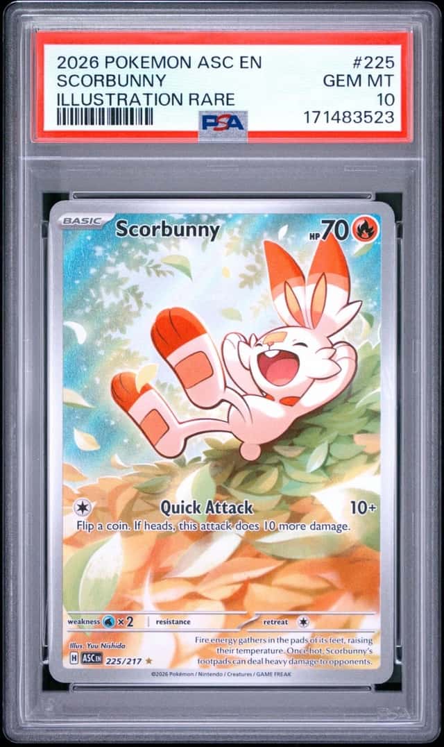 Scorbunny