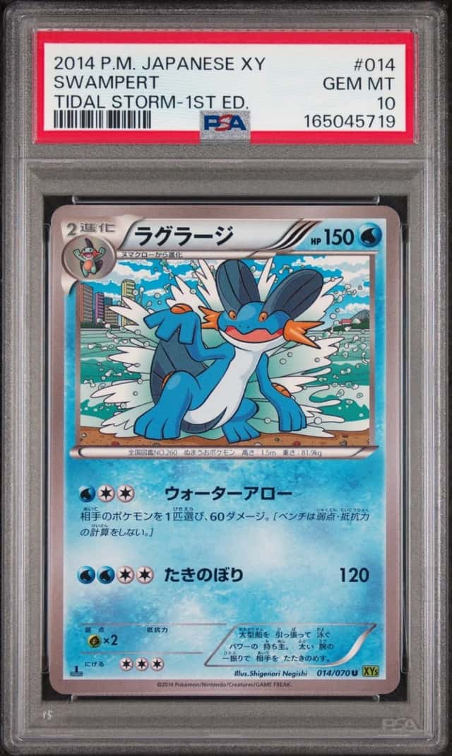 Swampert