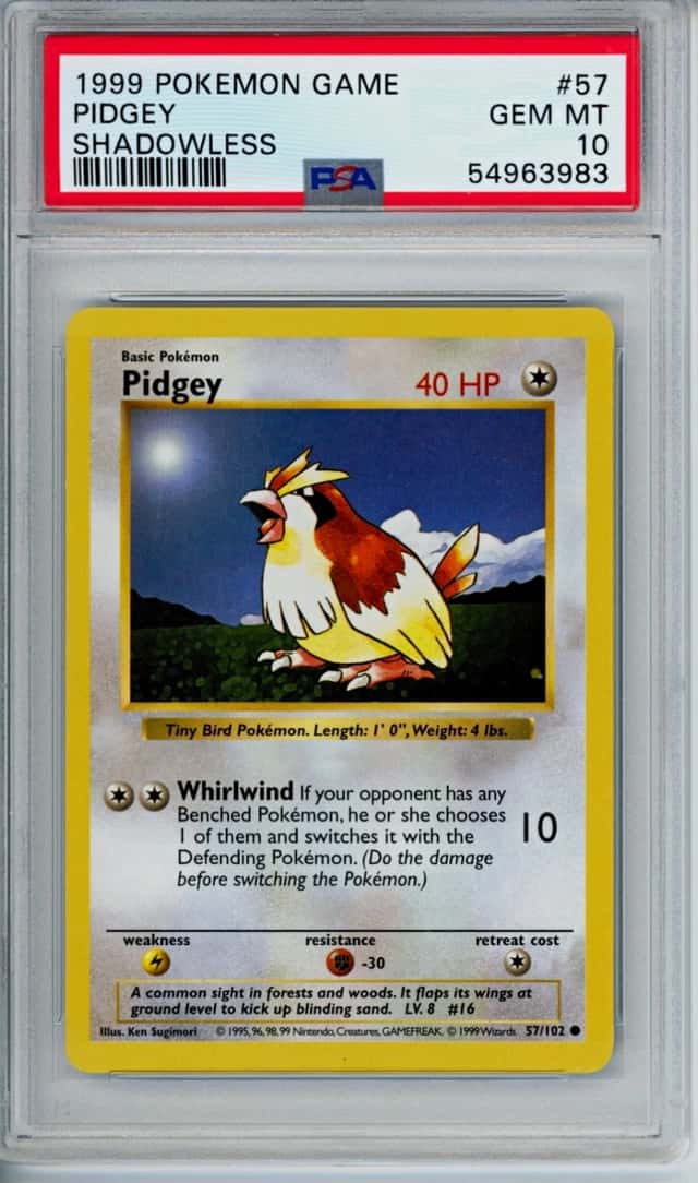 Pidgey