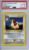 Pidgey