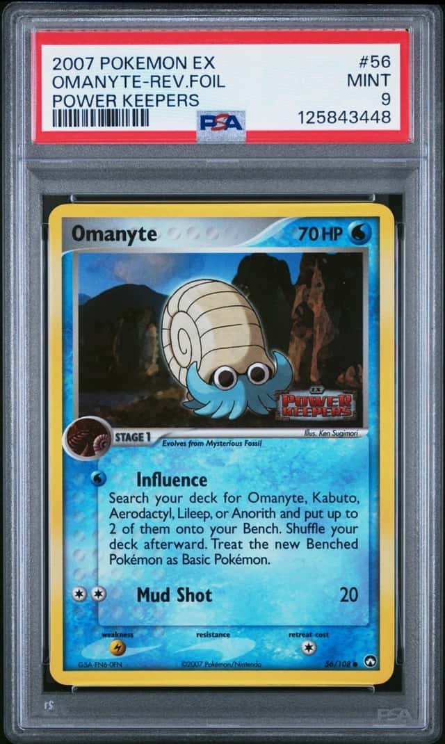 Omanyte