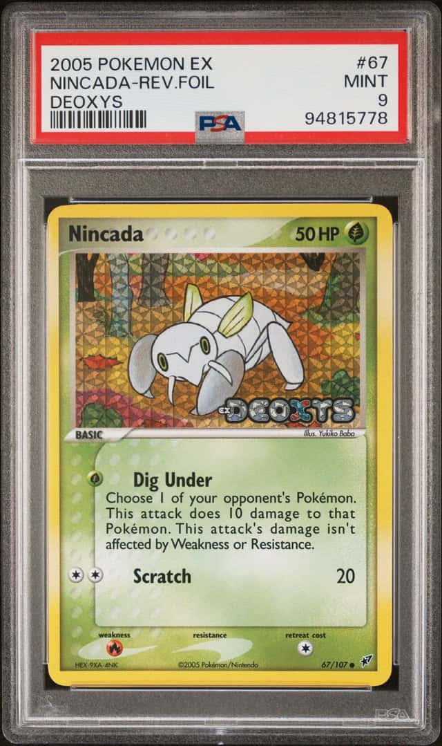 Nincada
